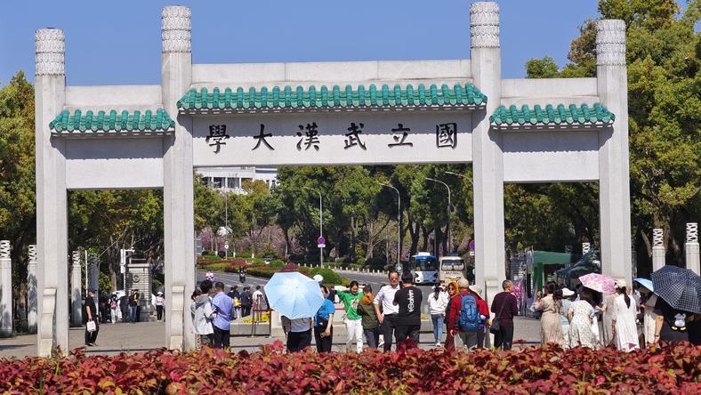 为什么说武大不是受害者?